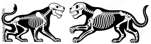 Obraz na płótnie Stylized vector illustration of two fierce predatory big cats featuring prominen