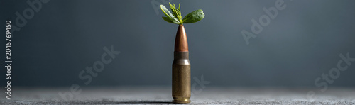 Hope Sprouting from Conflic...