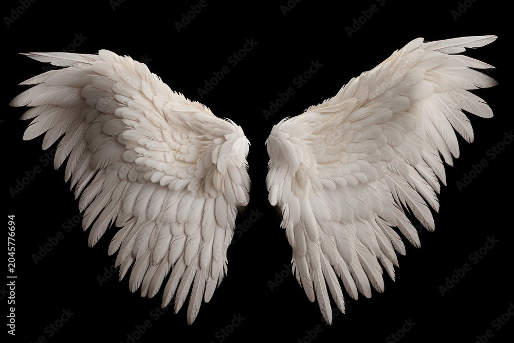 Obraz premium Elegant white angel wings display