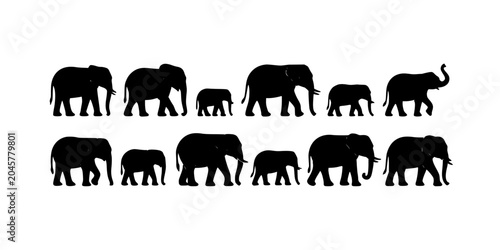 Elephants in Various Sizes and Poses as Black Silhouettes on a White Background Featuring Animal, Wildlife, Vector with Illustration and Nature