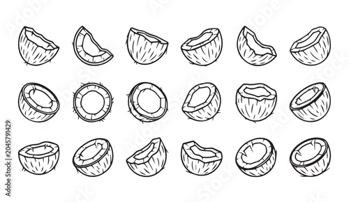 Hand drawn coconut halves and wedges on white background sketch style