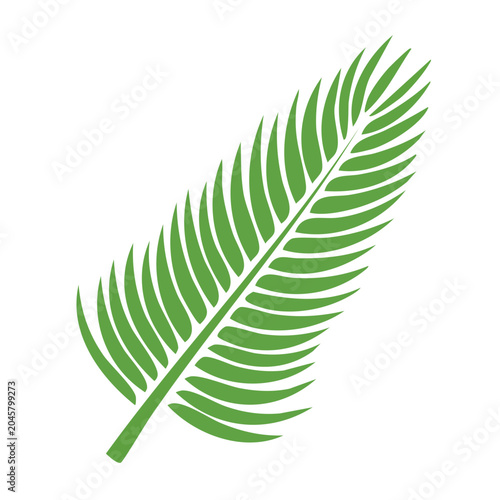 Green palm leaf icon