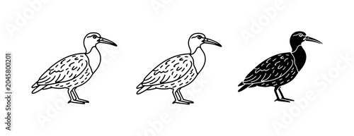 Bild auf Leinwand Three Ibis Birds, Line Art and Silhouette, Vector Set