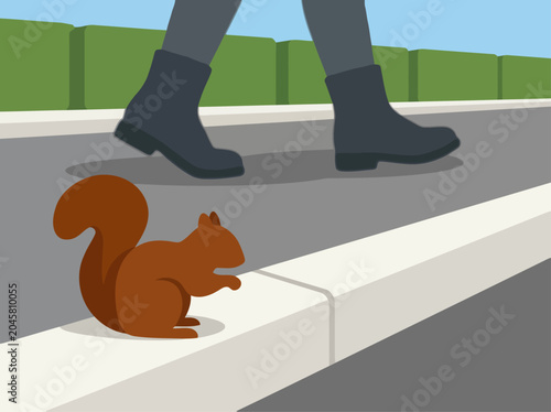 Фотография A pedestrian steps over a curb, startling a squirrel on the edge