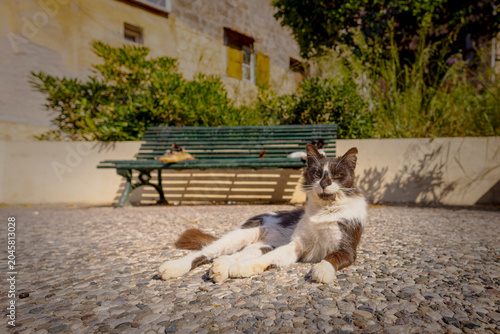 in the old town of Rhodos on Rhodos Island, Greece