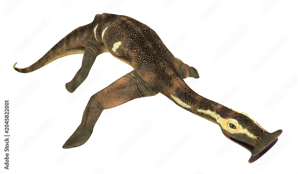 Fototapeta premium Prähistorisches Meeresreptil Atopodentatus, Freisteller