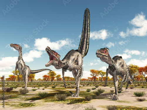 Dinosaurier Velociraptor in einer Savanne