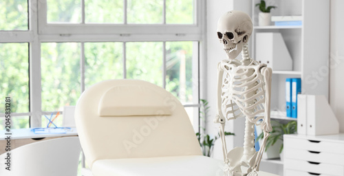 Human skeleton model in medical office