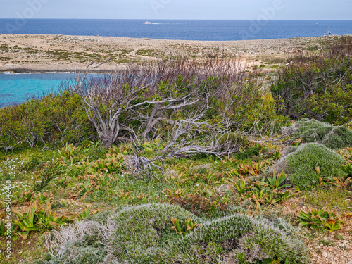 Drone view at the coast of Coral beach in Malta