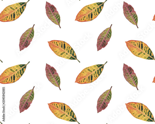 Bright floral print. Leaves seamless pattern. Kroton or codiaeum plant. Nature background. Vector.
