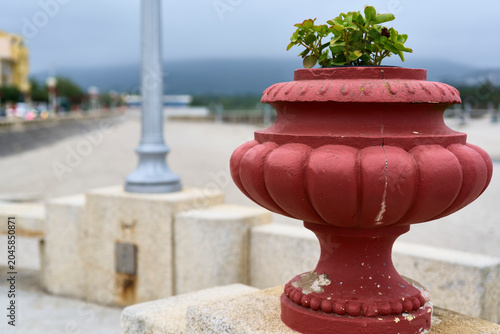 Flower box. Urban decoration on a street along the seaside promenade of a Portuguese town