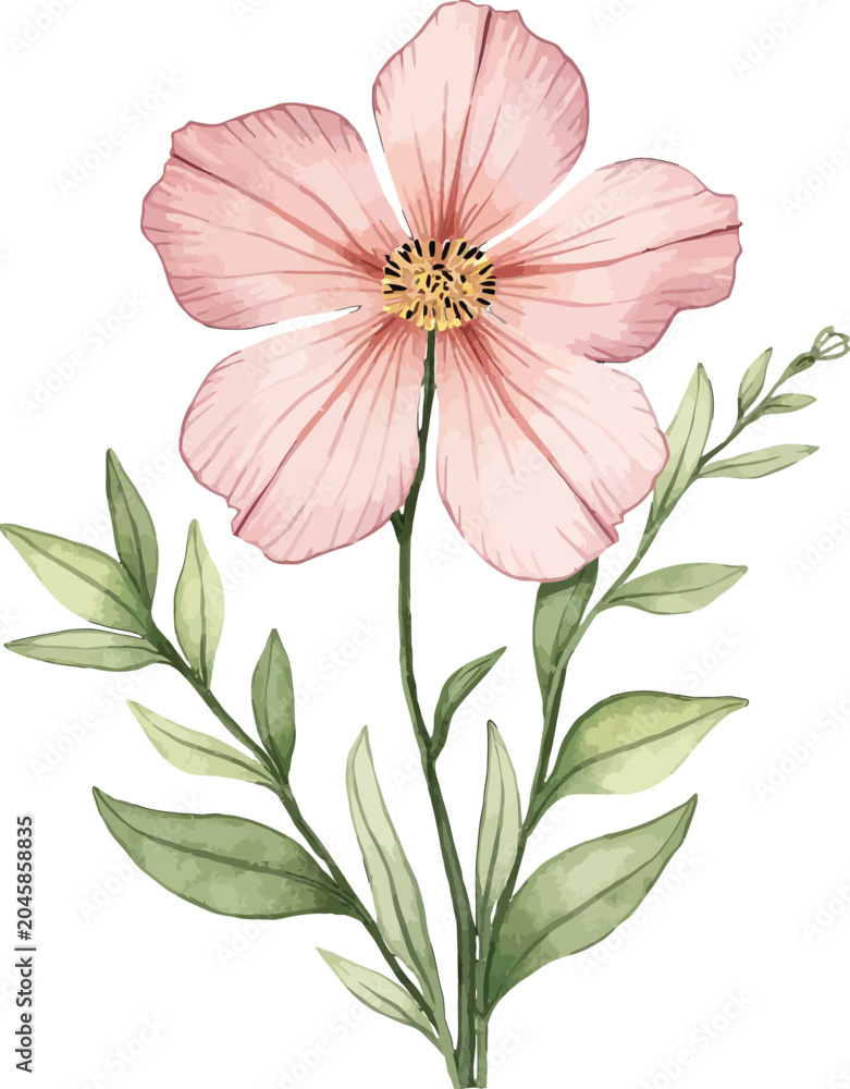 Obraz premium Pink poppy flower with green leaves