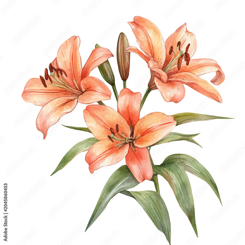 Fototapeta premium Lily Branch, beautiful watercolor illustration with vivid colors and detailed vector style, isolated on a white background.