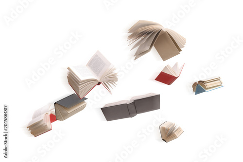 Принти на полотні Flying books in the air