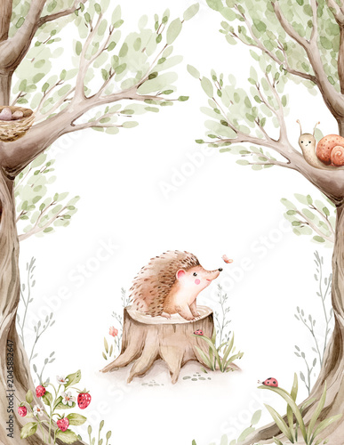 Watercolor cute sleeping baby hedgehog animal. Woodland nursery isolated illustration for children. for children. watercolour stump and acorn forest drawing with floral elements. 