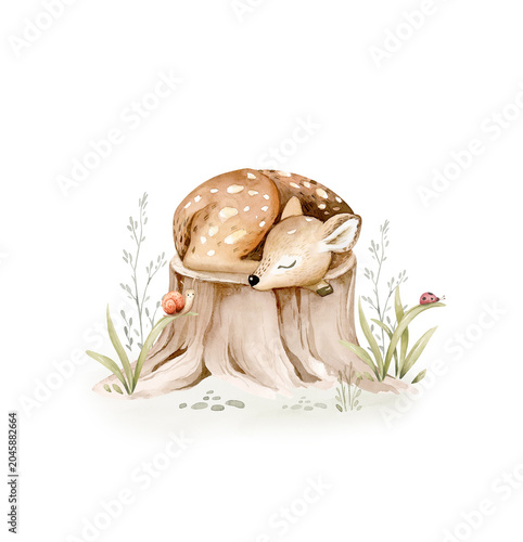 Watercolor cute sleeping baby fawn animal. Woodland nursery deer isolated illustration for children. watercolour forest drawing, floral image. Perfect for kids posters, patterns