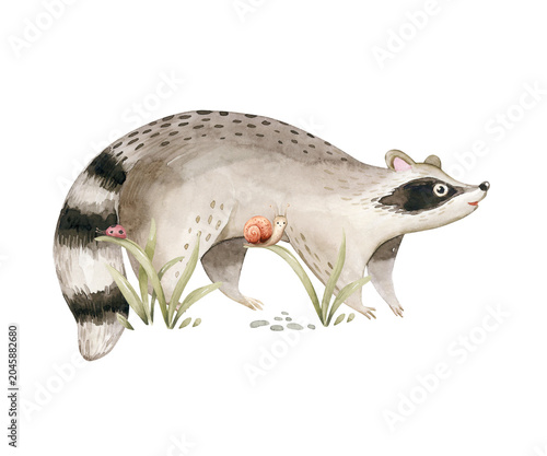 Watercolor cute baby raccoon animal. Woodland nursery isolated whimsical illustration soft pastel for children. watercolour stump and acorn forest drawing with floral elements. Butterfly 