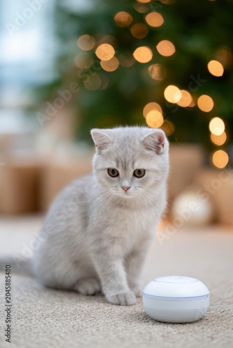 a light gray british shorthair kitten is playing with a white, round robot on the carpet, with warm and bright lights in the background, a bokeh effect