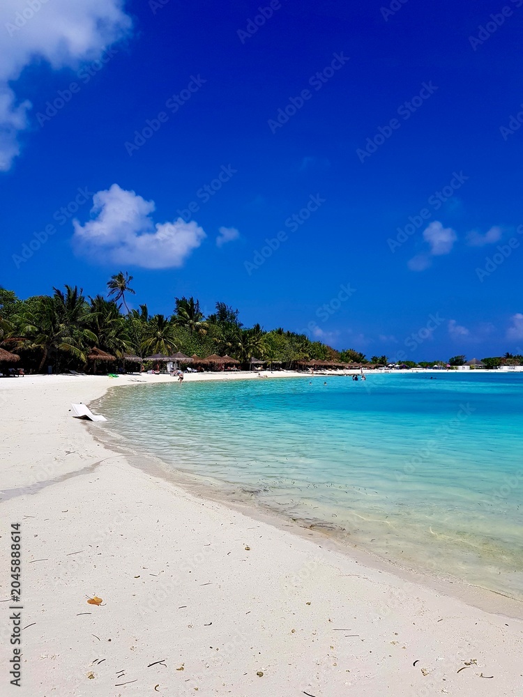 Fototapeta premium Maldives Beach