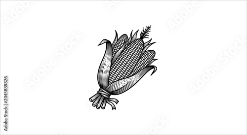 Illustration of a Bunch of Fresh Corn on the Cob.