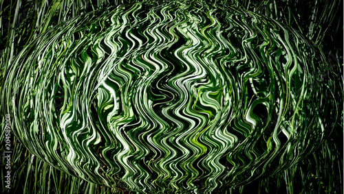 Foto Junco de Cebra foto en forma de esfera abstracta.