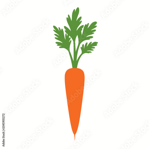 Fresh Carrot with Green Leaves and Orange Color.