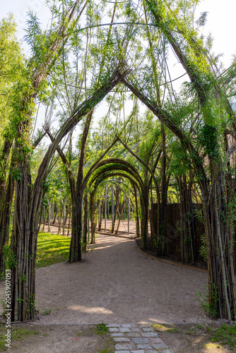 Foto Willow cathedral or willow dome in IGA park in Rostock, Germany