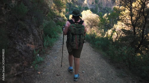 Woman hiking on a forest trail with backpack and poles on a sunny day