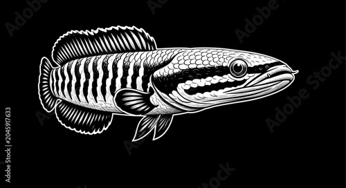 black and white fish