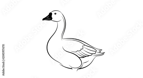 vector illustration of a goose