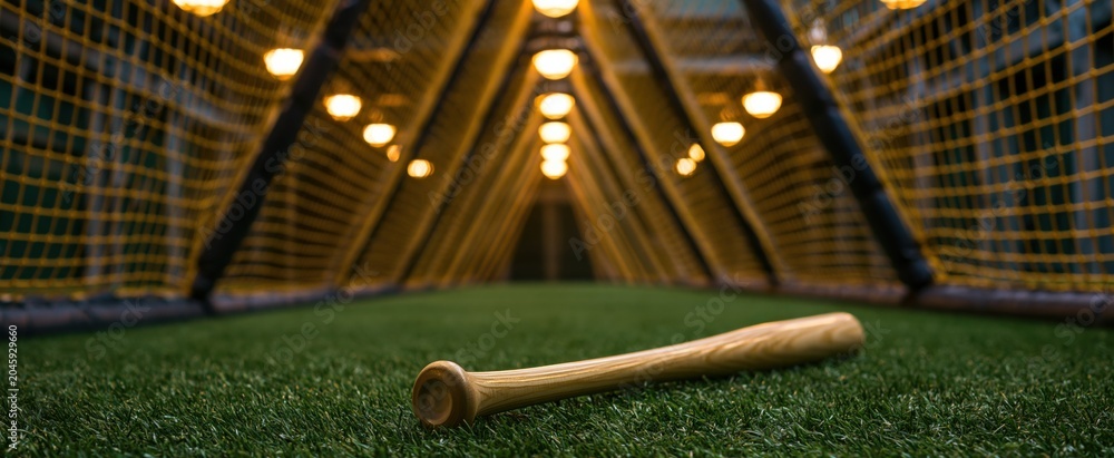 Fototapeta premium Indoor baseball practice tunnel with bat on artificial turf and protective netting for focused training.
