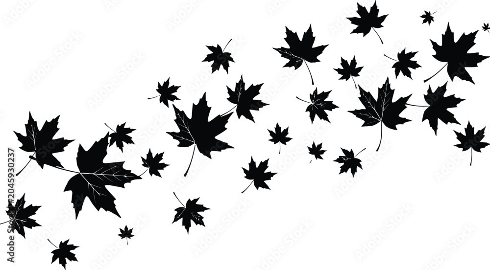 Fototapeta premium Falling maple leaves in autumn wind isolated on transparent background, isolated on white background, Vector