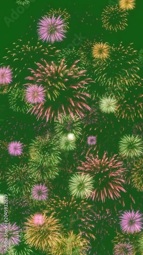 Dynamic colorful fireworks exploding in vibrant bursts against a deep green background, slow motion, symbolizing celebration, joy, and festive occasions.