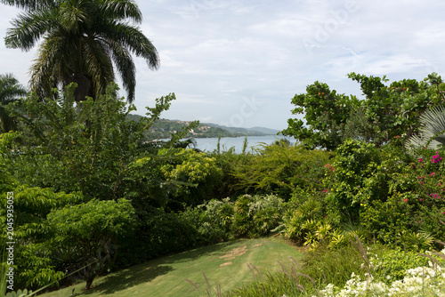 Jamaica landscape on a cloudy winter day.