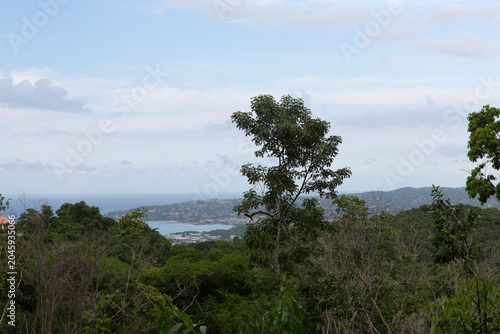 Jamaica landscape on a cloudy winter day.