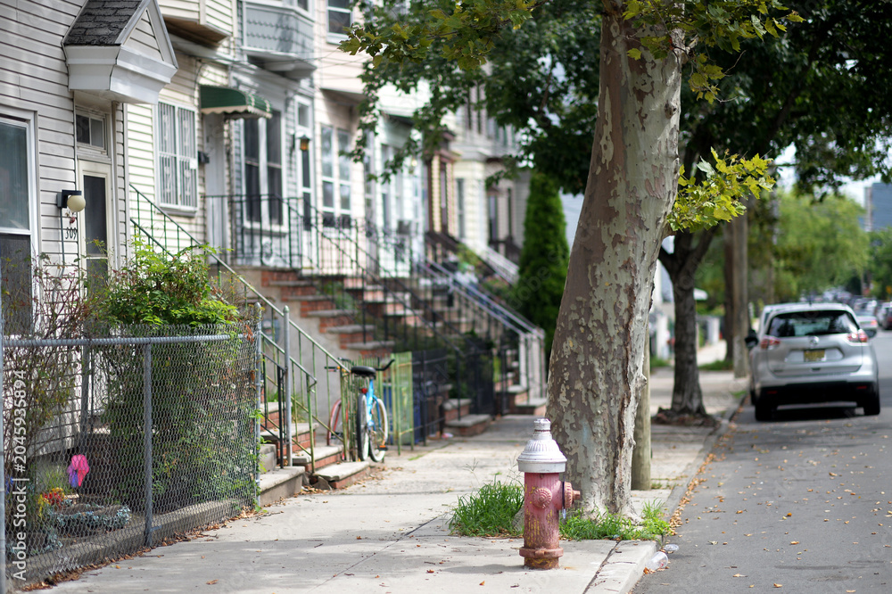 Fototapeta premium Residential street with row houses and hydrant New York New York