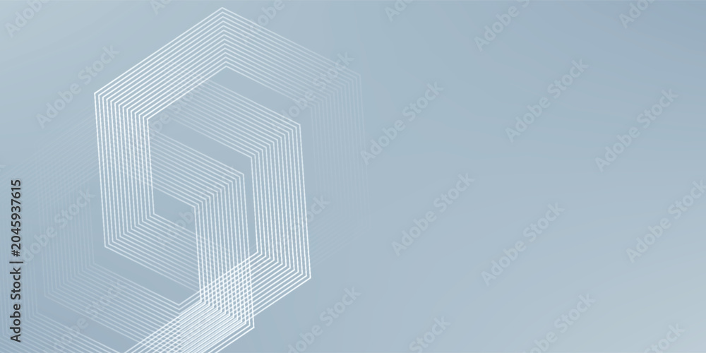 Fototapeta premium Modern hexagon lines on gray background. Geometric stripe line simple