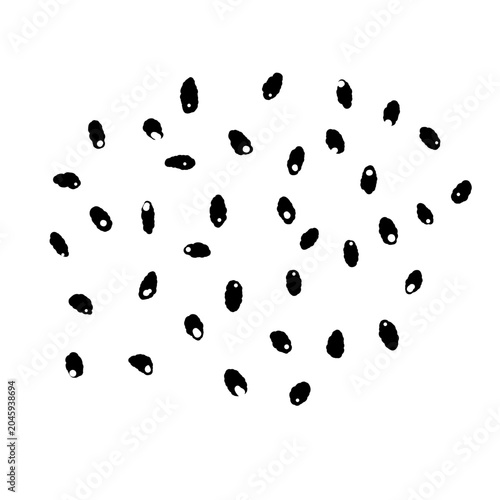 Scattered Black or White Sesame Seeds Illustration Graphic