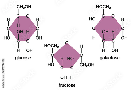 Tableau sur toile Cyclic structures of monosaccharides: glucose, fructose, and galactose