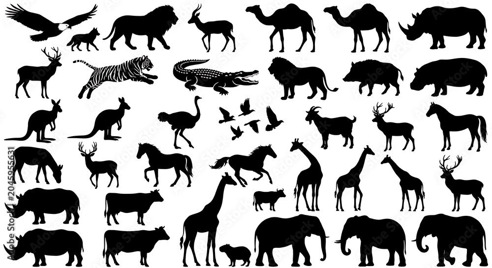 Fototapeta premium vector silhouettes of animals