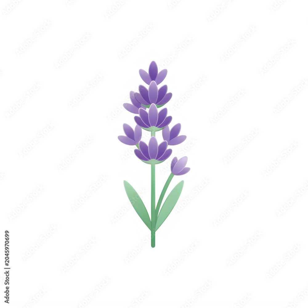 Obraz premium Purple lavender flower on isolated transparent background