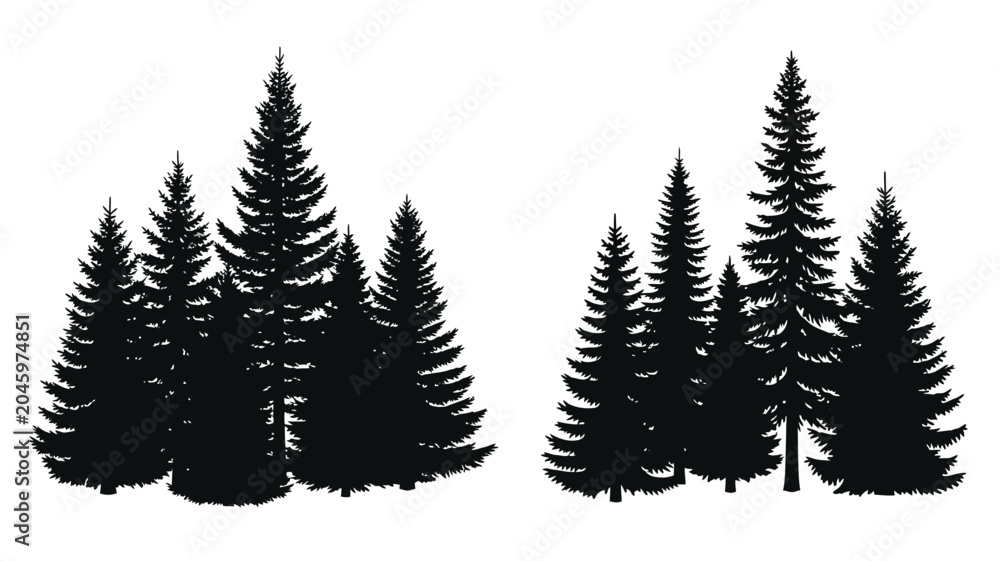 Obraz premium Evergreen Tree Grouping Silhouette Against White Background