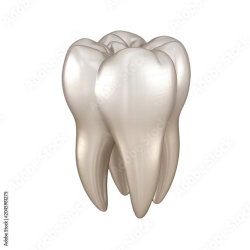 Three healthy human teeth illustration isolated on transparent background