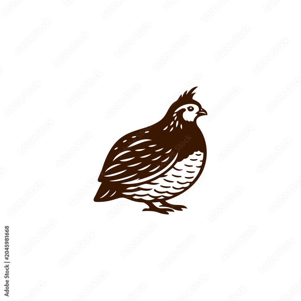 Fototapeta premium Quail bird vector illustration isolated on white background. Dark brown quail silhouette logo, partridge or poultry animal icon