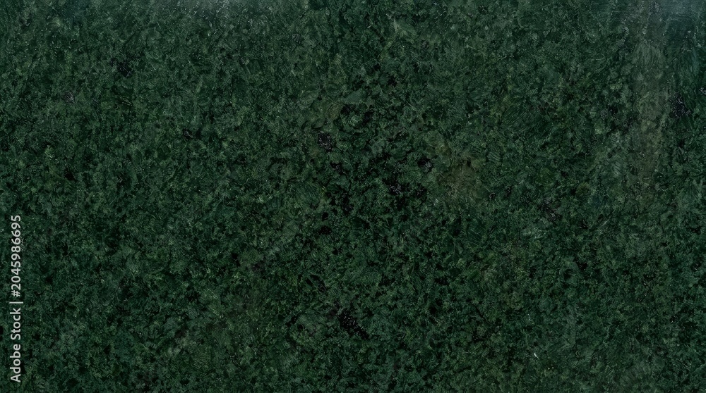 Fototapeta premium Dark green granite texture seamless background