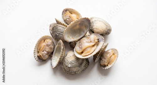 A small pile of fresh raw cockle shells arranged together on a plain white background surface area.