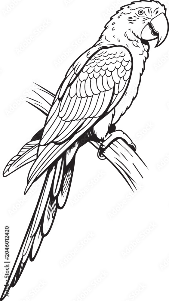 Fototapeta premium Parrot macaw perched on branch for tropical forest wildlife and exotic pet bird colorful line design.
