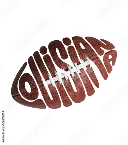 Slika na platnu Louisiana American Football