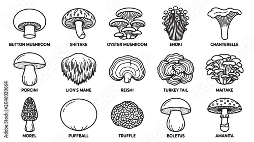 Obraz na płótnie Mushroom icons, fungi illustrations, 16 black and white vector graphics, edible