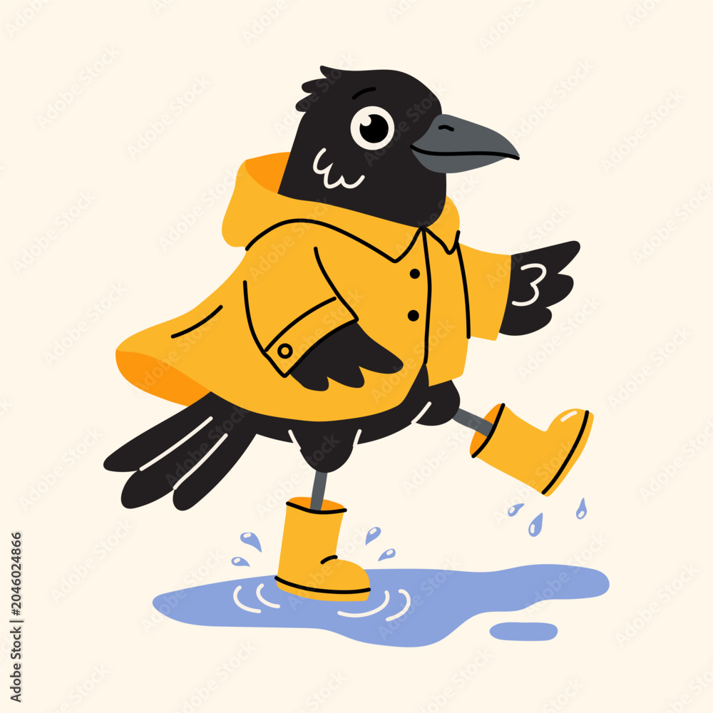 Fototapeta premium Funny Black Bird Walking Through Rain Puddle